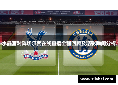 水晶宫对阵切尔西在线直播全程回顾及精彩瞬间分析